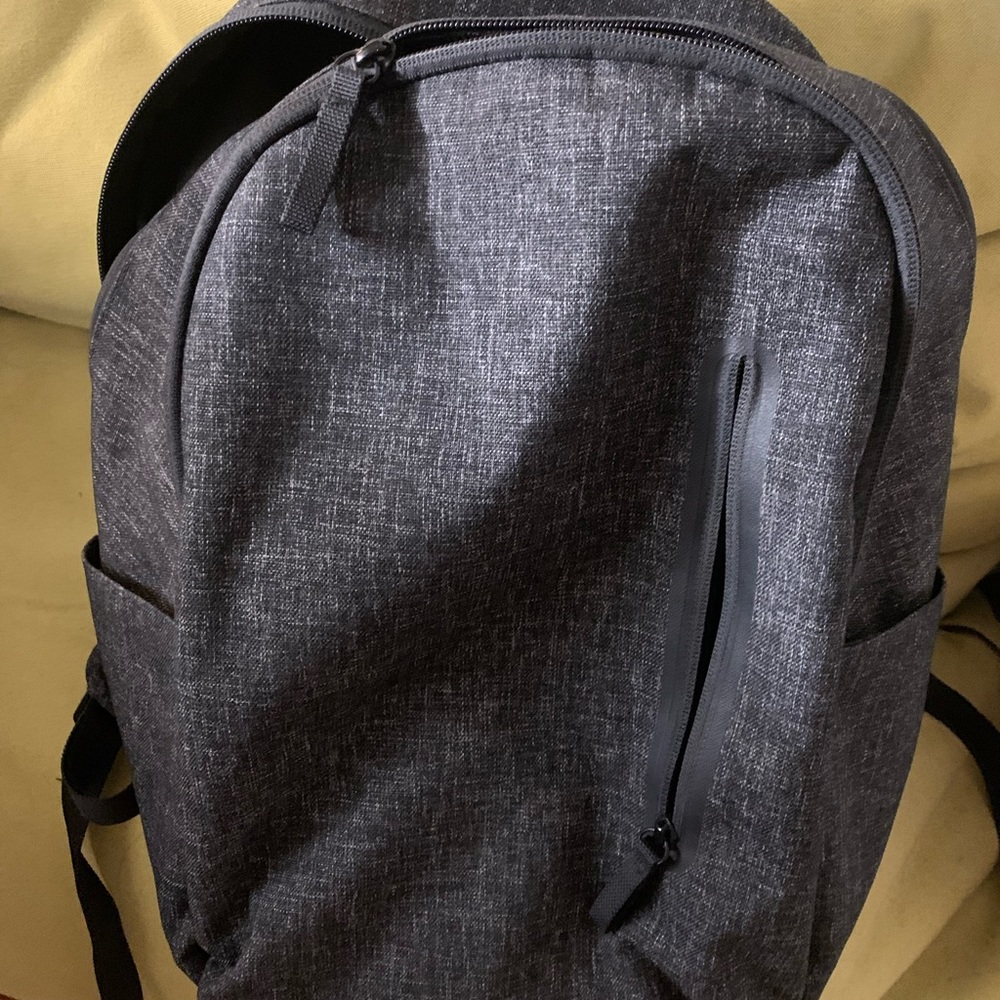 Everlane Backpack
